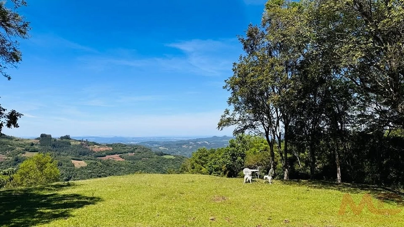 SITIO/ CHACARAS PARA VENDA EM MORRO REUTER RS: 3ª foto da galeria de imagens do imóvel
