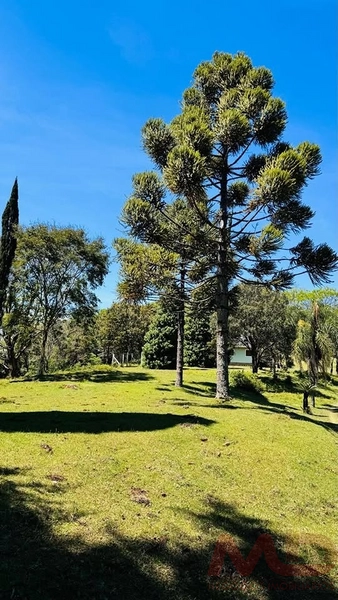 SITIO/ CHACARAS PARA VENDA EM MORRO REUTER RS: 9ª foto da galeria de imagens do imóvel