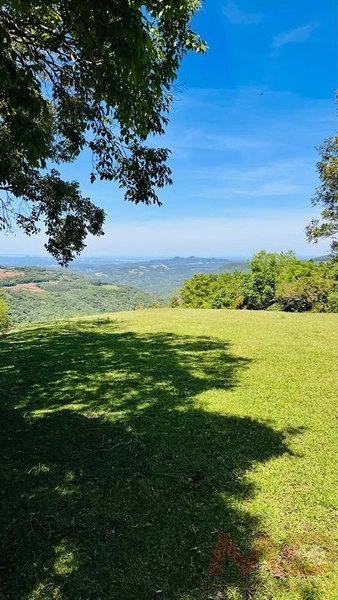 SITIO/ CHACARAS PARA VENDA EM MORRO REUTER RS: 2ª foto da galeria de imagens do imóvel