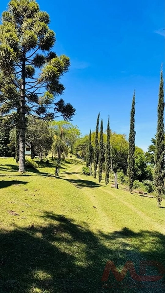 SITIO/ CHACARAS PARA VENDA EM MORRO REUTER RS: 33ª foto da galeria de imagens do imóvel