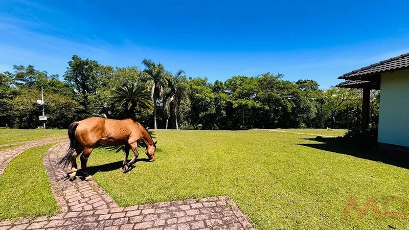 SITIO/ CHACARAS PARA VENDA EM MORRO REUTER RS: 32ª foto da galeria de imagens do imóvel