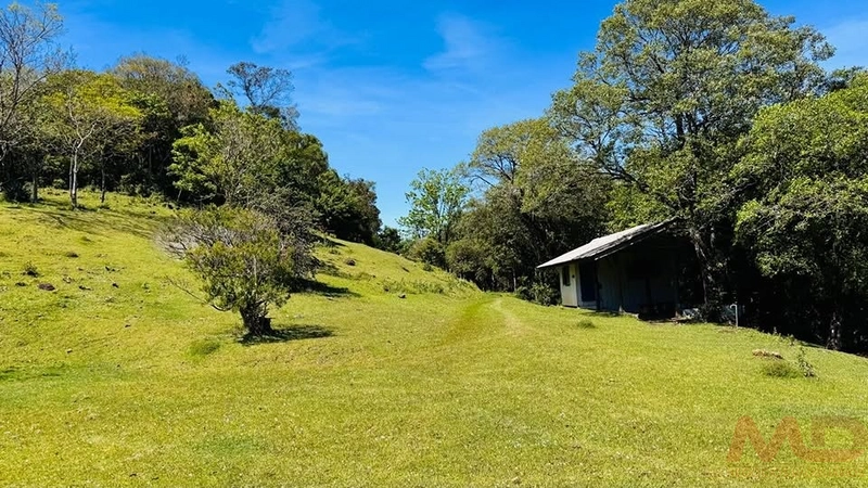 SITIO/ CHACARAS PARA VENDA EM MORRO REUTER RS: 19ª foto da galeria de imagens do imóvel