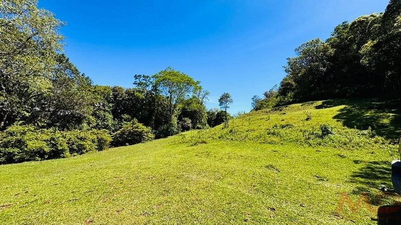 SITIO/ CHACARAS PARA VENDA EM MORRO REUTER RS: 7ª foto da galeria de imagens do imóvel