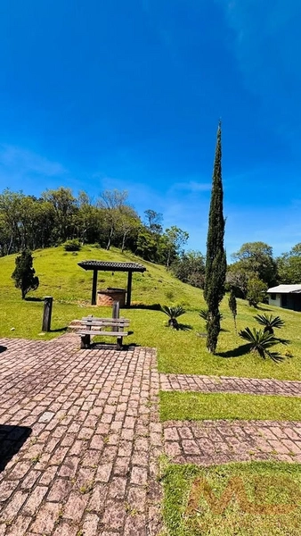 SITIO/ CHACARAS PARA VENDA EM MORRO REUTER RS: 23ª foto da galeria de imagens do imóvel