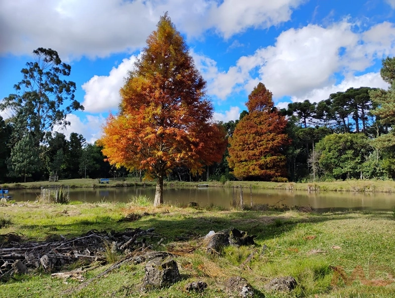 sitio com toda infraestrutura 15km ate o centro de Canela e 30 ate gramado: 18ª foto da galeria de imagens do imóvel