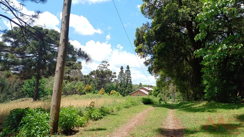 sitio com toda infraestrutura 15km ate o centro de Canela e 30 ate gramado: 35ª foto da galeria de imagens do imóvel