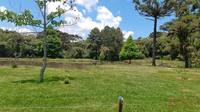 sitio com toda infraestrutura 15km ate o centro de Canela e 30 ate gramado: 19ª foto da galeria de imagens do imóvel