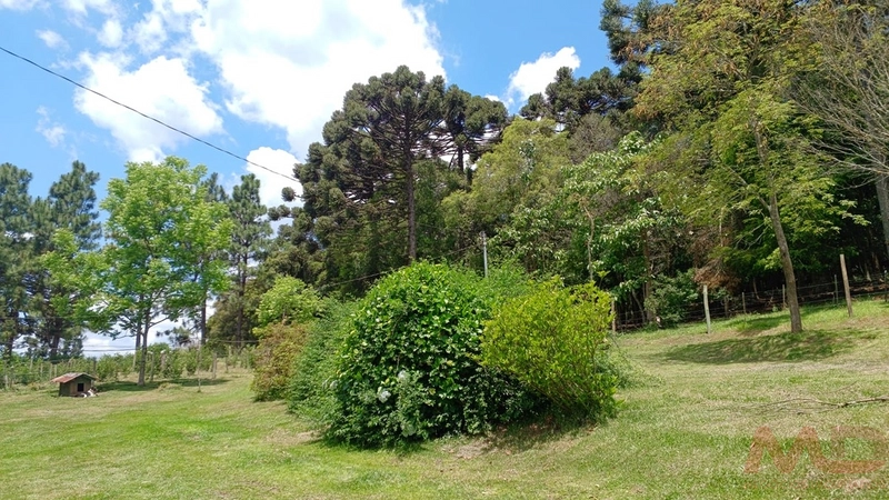 sitio com toda infraestrutura 15km ate o centro de Canela e 30 ate gramado: 30ª foto da galeria de imagens do imóvel