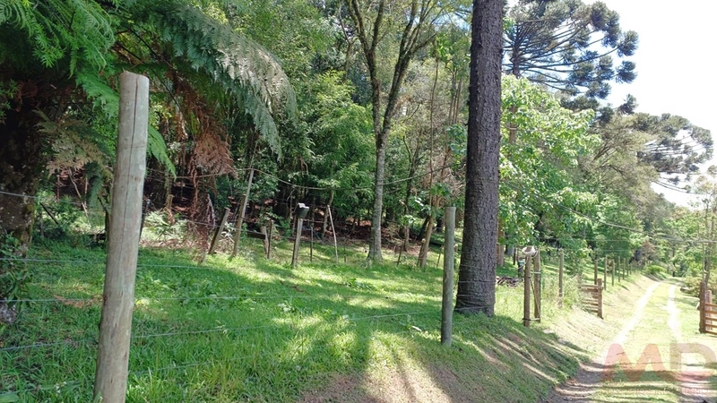 sitio com toda infraestrutura 15km ate o centro de Canela e 30 ate gramado: 31ª foto da galeria de imagens do imóvel