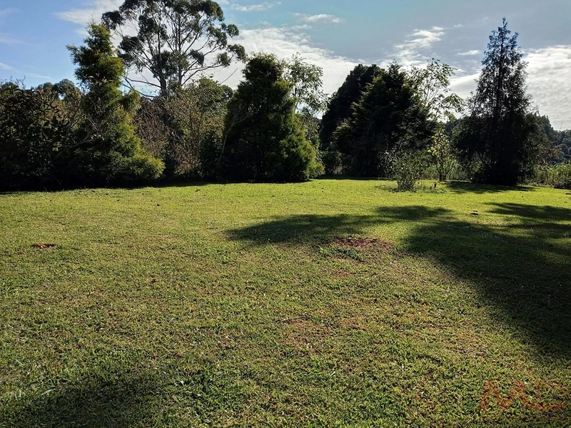 sitio com toda infraestrutura 15km ate o centro de Canela e 30 ate gramado: 21ª foto da galeria de imagens do imóvel