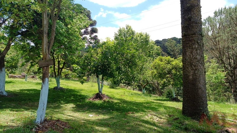 sitio com toda infraestrutura 15km ate o centro de Canela e 30 ate gramado: 34ª foto da galeria de imagens do imóvel