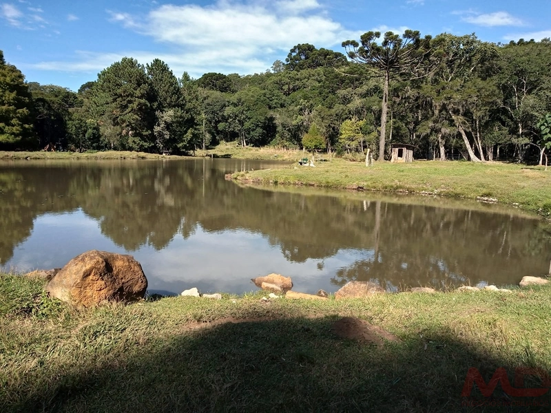 sitio com toda infraestrutura 15km ate o centro de Canela e 30 ate gramado: 16ª foto da galeria de imagens do imóvel
