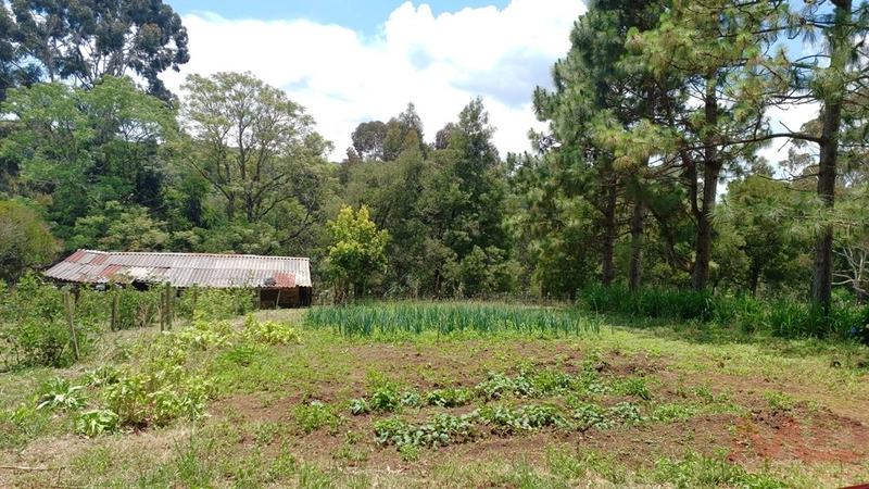 sitio com toda infraestrutura 15km ate o centro de Canela e 30 ate gramado: 38ª foto da galeria de imagens do imóvel
