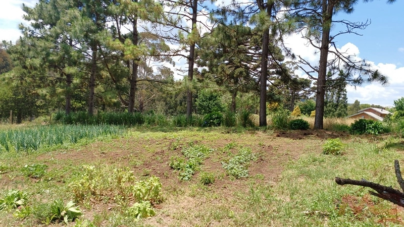 sitio com toda infraestrutura 15km ate o centro de Canela e 30 ate gramado: 36ª foto da galeria de imagens do imóvel