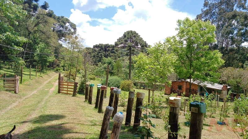 sitio com toda infraestrutura 15km ate o centro de Canela e 30 ate gramado: 37ª foto da galeria de imagens do imóvel