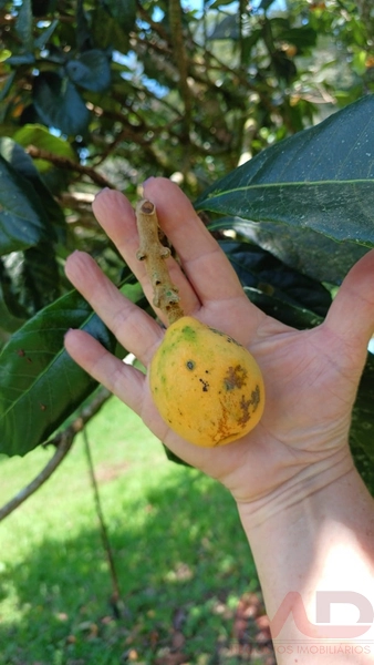 sitio com toda infraestrutura 15km ate o centro de Canela e 30 ate gramado: 24ª foto da galeria de imagens do imóvel