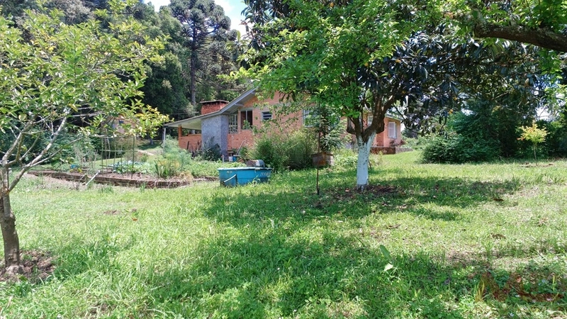 sitio com toda infraestrutura 15km ate o centro de Canela e 30 ate gramado: 7ª foto da galeria de imagens do imóvel