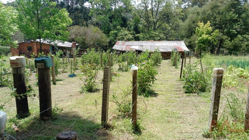 sitio com toda infraestrutura 15km ate o centro de Canela e 30 ate gramado: 27ª foto da galeria de imagens do imóvel