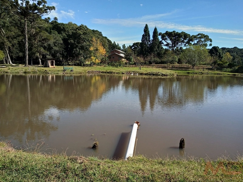 sitio com toda infraestrutura 15km ate o centro de Canela e 30 ate gramado: 17ª foto da galeria de imagens do imóvel