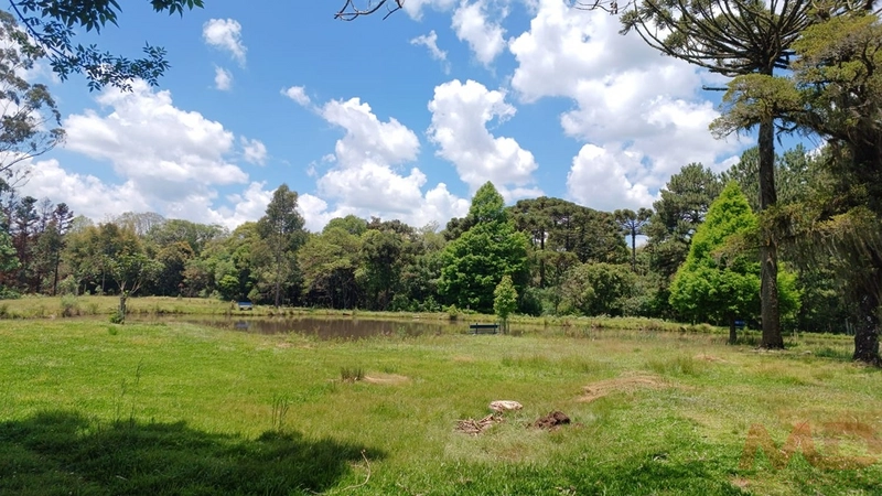 sitio com toda infraestrutura 15km ate o centro de Canela e 30 ate gramado: 20ª foto da galeria de imagens do imóvel