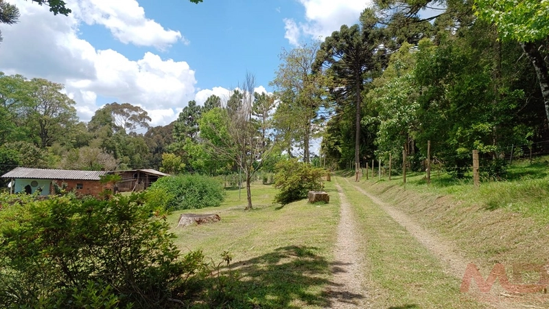 sitio com toda infraestrutura 15km ate o centro de Canela e 30 ate gramado: 32ª foto da galeria de imagens do imóvel