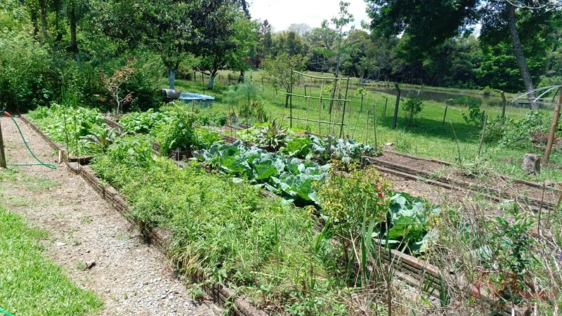 sitio com toda infraestrutura 15km ate o centro de Canela e 30 ate gramado: 15ª foto da galeria de imagens do imóvel