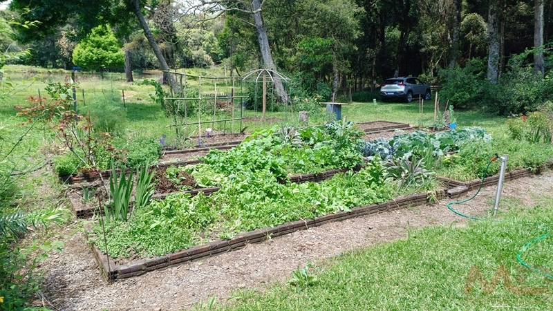 sitio com toda infraestrutura 15km ate o centro de Canela e 30 ate gramado: 12ª foto da galeria de imagens do imóvel