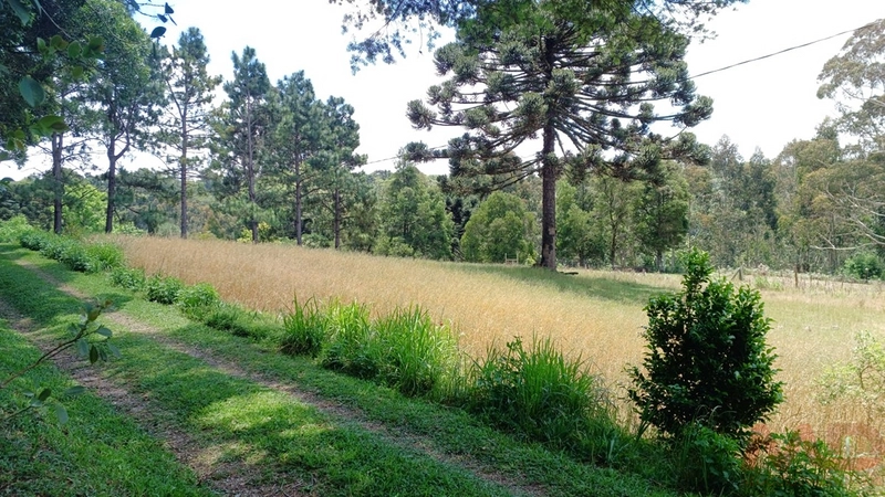 sitio com toda infraestrutura 15km ate o centro de Canela e 30 ate gramado: 40ª foto da galeria de imagens do imóvel