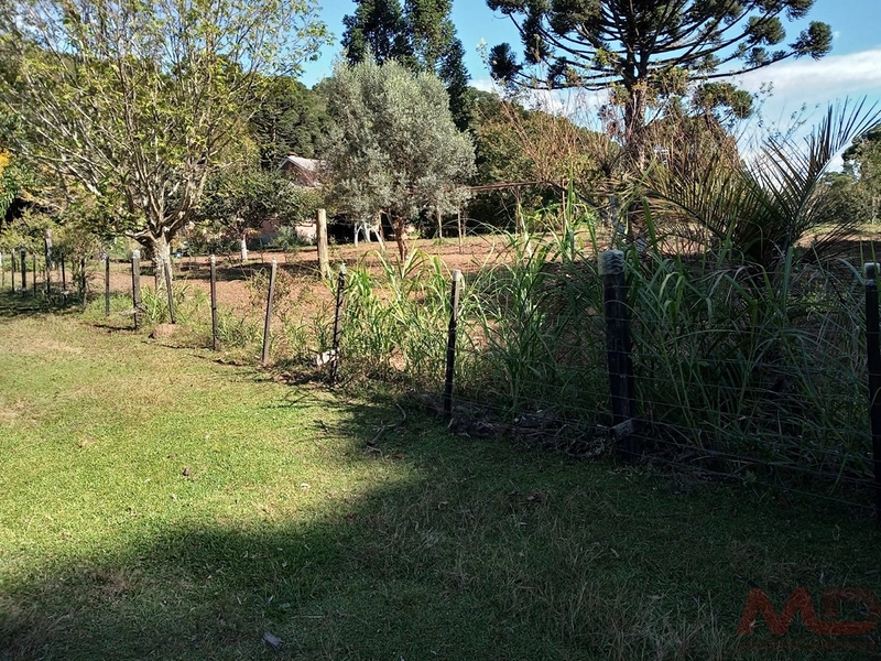 sitio com toda infraestrutura 15km ate o centro de Canela e 30 ate gramado: 11ª foto da galeria de imagens do imóvel