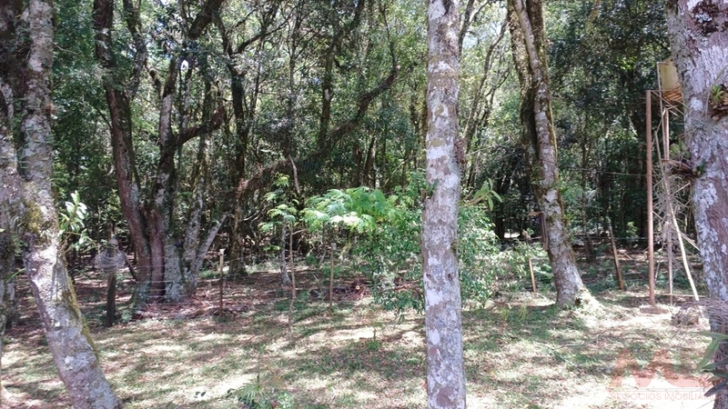 sitio com toda infraestrutura 15km ate o centro de Canela e 30 ate gramado: 42ª foto da galeria de imagens do imóvel