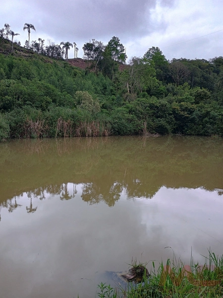 Sítio a venda a 10 minutos de Gramado : 8ª foto da galeria de imagens do imóvel