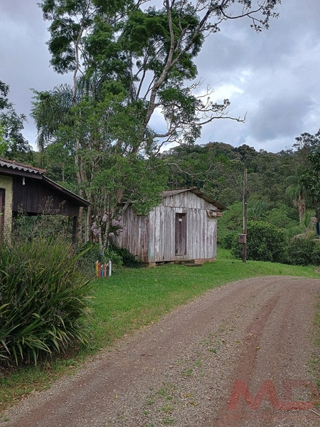 Sítio a venda a 10 minutos de Gramado : 3ª foto da galeria de imagens do imóvel