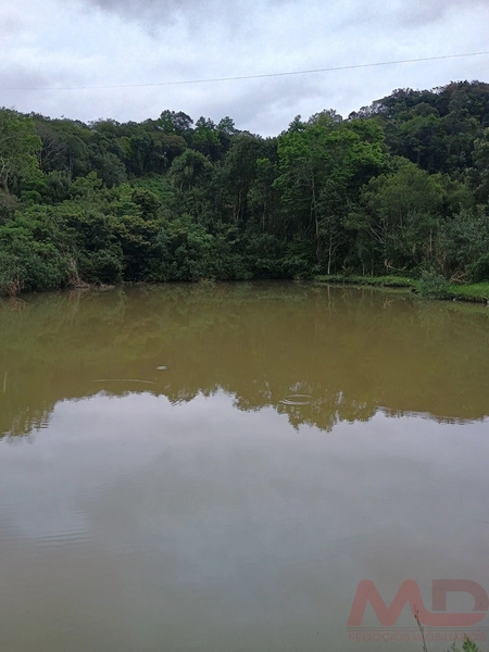 Sítio a venda a 10 minutos de Gramado : 10ª foto da galeria de imagens do imóvel