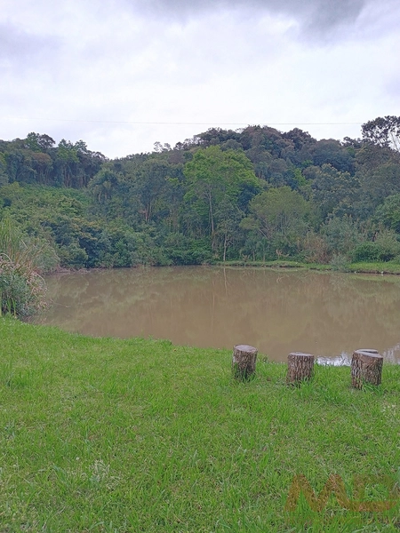 Sítio a venda a 10 minutos de Gramado : 11ª foto da galeria de imagens do imóvel