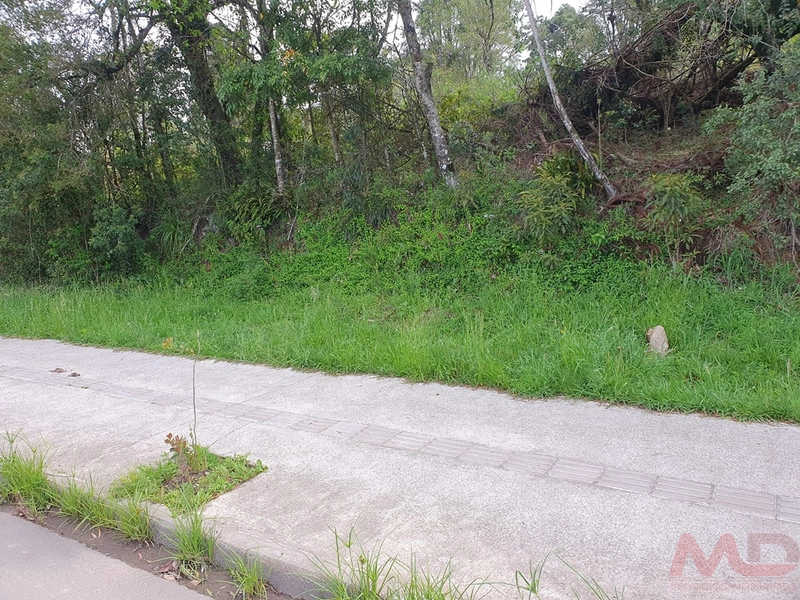 TERRENO EM CANELA  RS PLANO 360 MT PRONTO PARA COSTRUIR 253 MIL: 4ª foto da galeria de imagens do imóvel