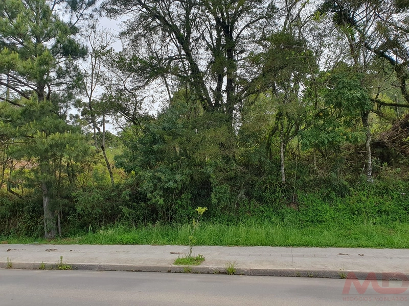 TERRENO EM CANELA  RS PLANO 360 MT PRONTO PARA COSTRUIR 253 MIL: 3ª foto da galeria de imagens do imóvel