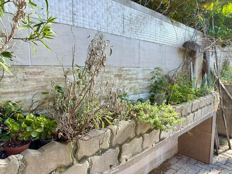 Casa Bairro térrea com dois dormitórios com vaga de garagem : 35ª foto da galeria de imagens do imóvel