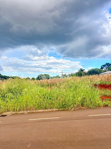 Terrenos 360m² - Pronto para Construir: 2ª foto da galeria de imagens do imóvel