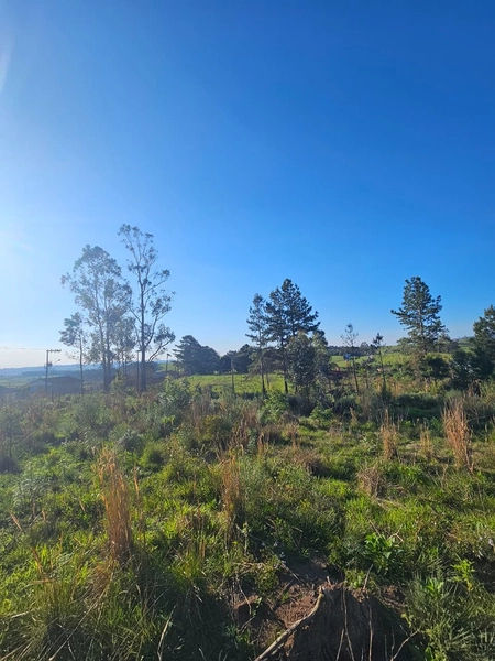 Chácara em Área Urbana Lages : 6ª foto da galeria de imagens do imóvel