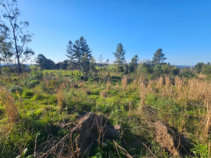 Chácara em Área Urbana Lages : 10ª foto da galeria de imagens do imóvel