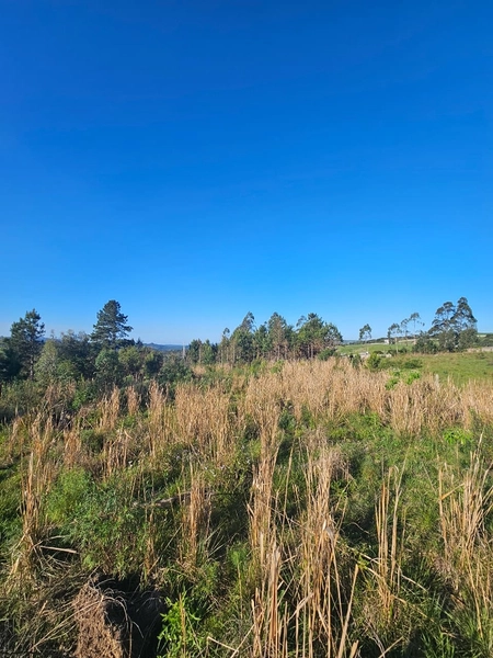 Chácara em Área Urbana Lages : 8ª foto da galeria de imagens do imóvel
