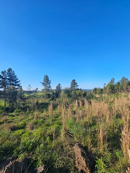 Chácara em Área Urbana Lages : 7ª foto da galeria de imagens do imóvel