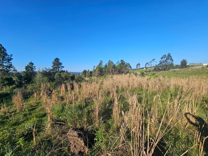 Chácara em Área Urbana Lages : 9ª foto da galeria de imagens do imóvel