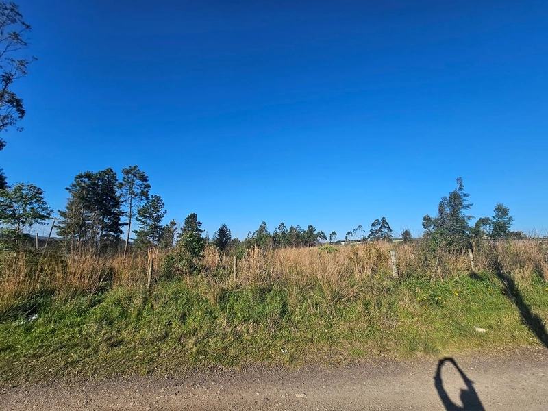 Chácara em Área Urbana Lages : 5ª foto da galeria de imagens do imóvel