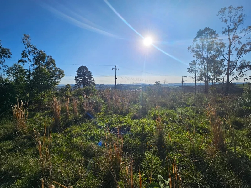 Chácara em Área Urbana Lages : 11ª foto da galeria de imagens do imóvel