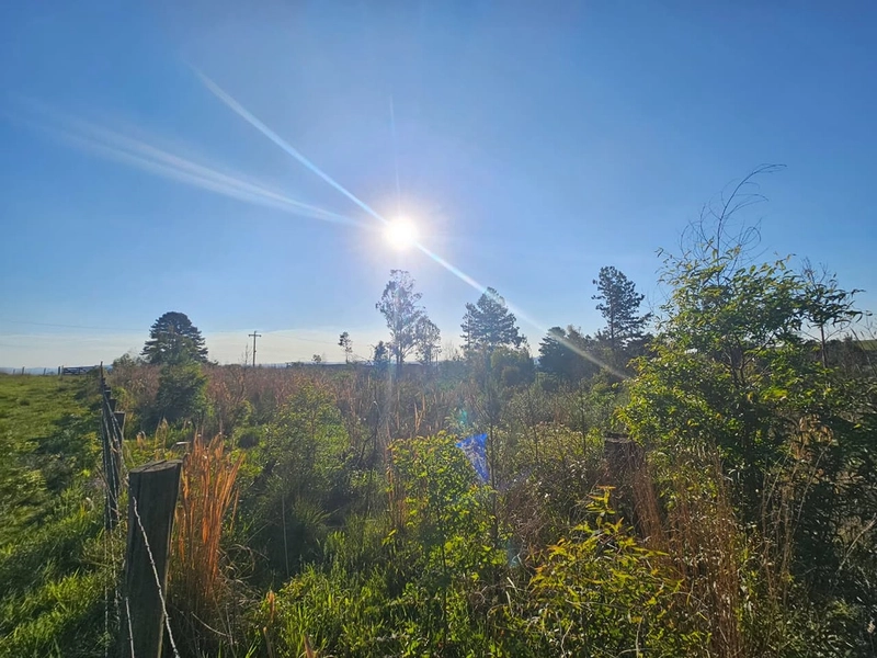 Chácara em Área Urbana Lages : 4ª foto da galeria de imagens do imóvel
