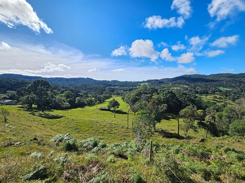 Sítio Localidade Cerro Alto - Palmeira: 3ª foto da galeria de imagens do imóvel