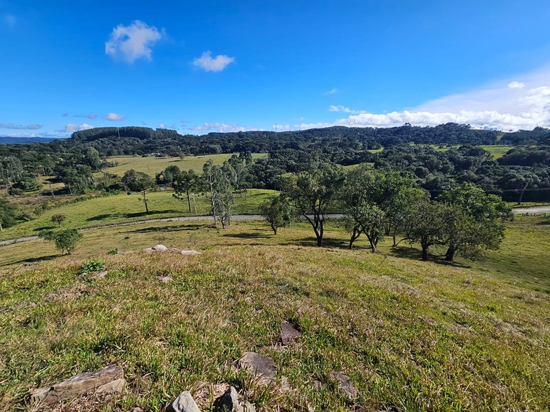 Sítio Localidade Cerro Alto - Palmeira: 6ª foto da galeria de imagens do imóvel
