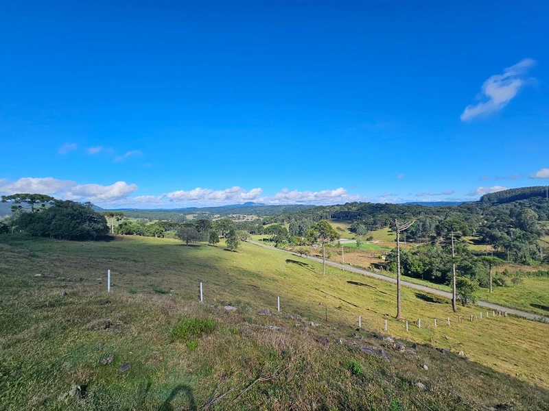 Sítio Localidade Cerro Alto - Palmeira: 17ª foto da galeria de imagens do imóvel