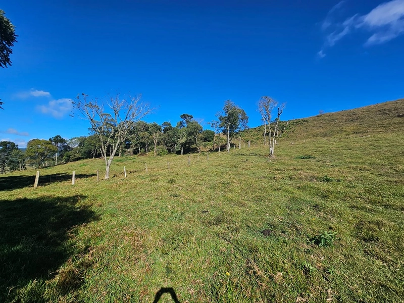 Sítio Localidade Cerro Alto - Palmeira: 14ª foto da galeria de imagens do imóvel